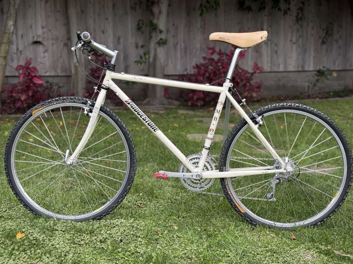 1990 Bridgestone MB-Zip 17