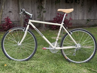 1990 Bridgestone MB-Zip 17