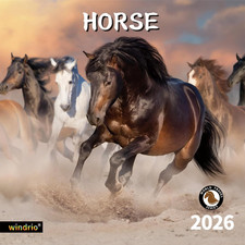 2026 Wall Calendar,Calendar 2026, November 2025 - December 2026, Wall Calendar H