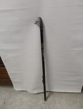 Canna bolognese Shakespeare