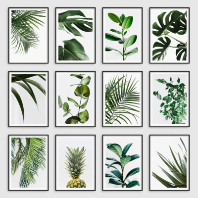 Botanische tropische Blätter Wandbilder Drucke Schlafzimmer Wohnzimmer Bilder Poster