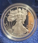 2014-W  Silver American Eagle Proof OGP  But No COA