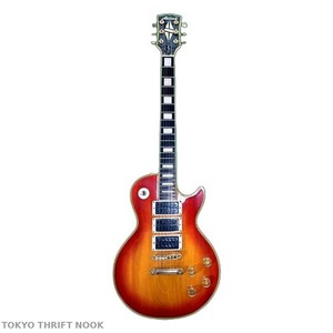 Aria Pro II Custom | eBay