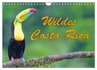 "Calendar 2027 · US Version · Wild Costa Rica (Wall Calendar 2027 12\" × 8\" Landsc"
