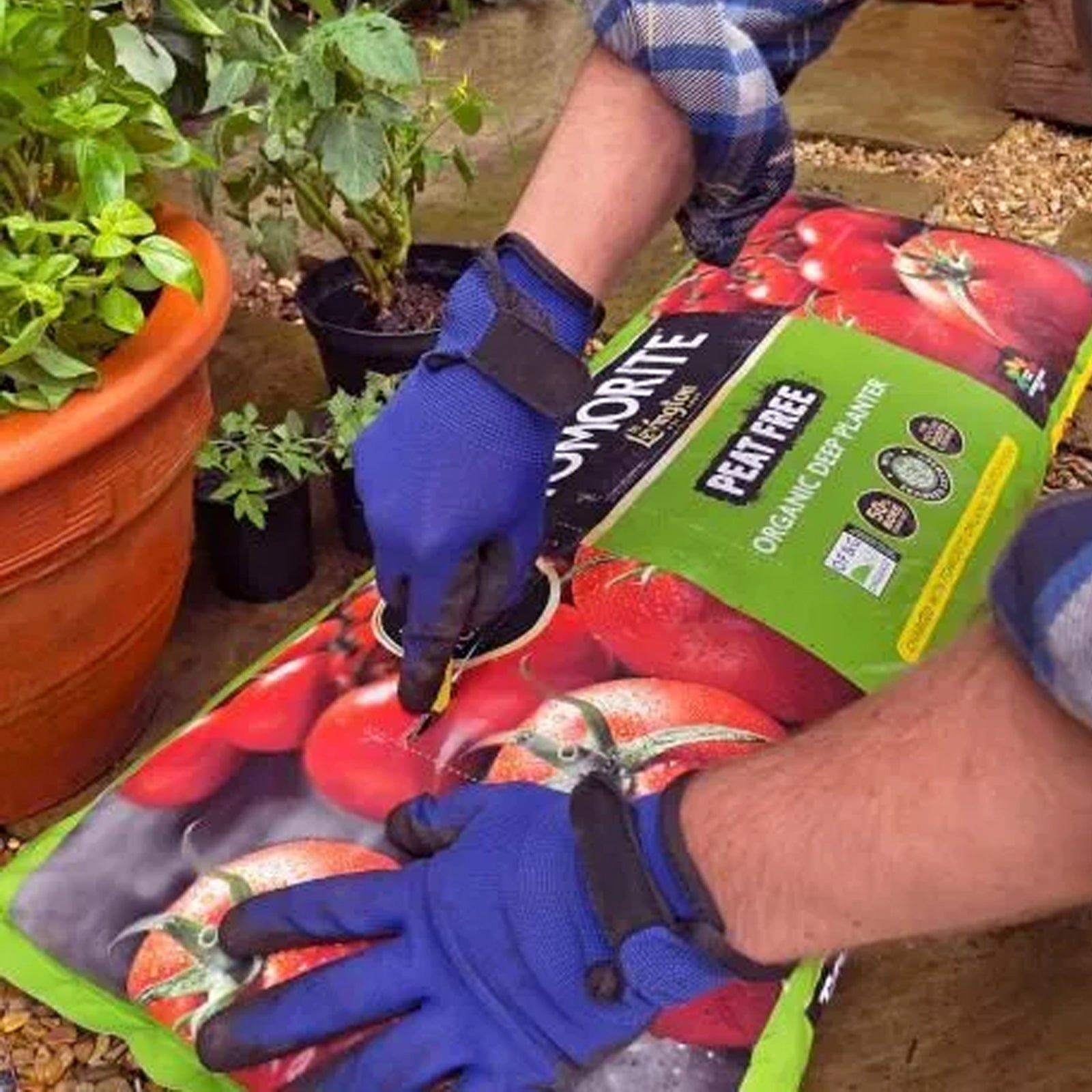 Levington Tomorite Peat Free Tomato Fruit Veg Organic Deep Planter Grow