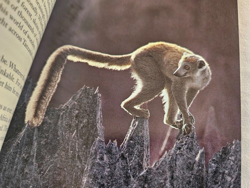 Choose One - National Geographic Society Hardcover with Dust Jacket - Picture 496 of 726