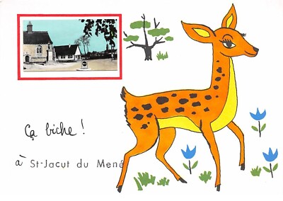 22. Nr. 204315.St Jacut du Mené.Biche.cpsm - 15 x 10,5 cm.