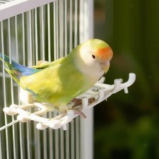 Parrot Perch Grid Design Bird Perch Platform for Lovebird Parakeet Cockatiel