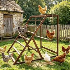 MULTI-LEVEL Chicken Roost Perch Ladder Swing 8-10Hens Wooden Coop Activity Stand