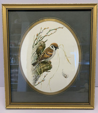 Vogel Kunst Baumsperling von Robert Scholz Eurasischer Druck gerahmte Handschrift Vogel