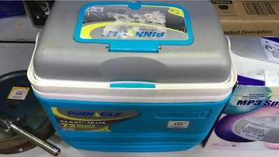 polystyrene esky kmart