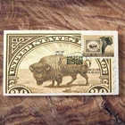 2026 American Bison Buffalo USA Forever Stamp First Day Cover / Boston FDC