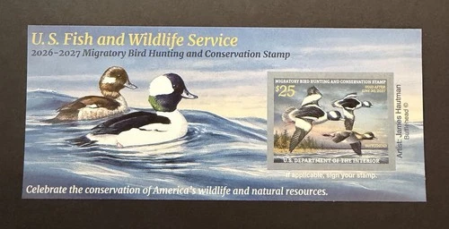 #RW93A 2026 - 2027 - US Federal Duck Stamp **JIM HAUTMAN** Post Office FRESH