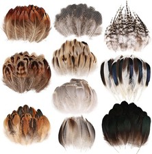 300 Pcs Small Feathers - 10 Style Mixed Spotted Decorative Natual Pheasant Feath