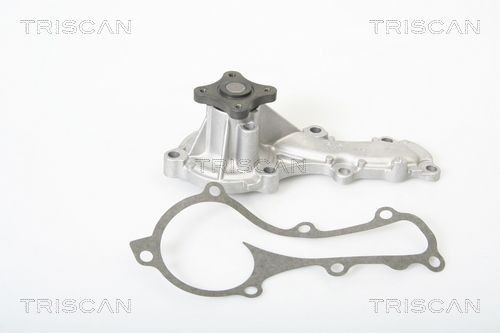 Triscan Wasserpumpe 8600 14013 Passend FüR Nissan-image
