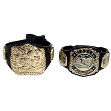 WWE Wrestling Tag Team Championship Belts Lot of 2 Pre-owned