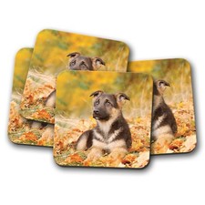 4 Set - German Shepherd Puppy Coaster - Alsatian Dog Puppies Cool Fun Gift #8640