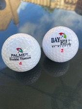 Palmer Titanium Golf Balls. Bay Hill/Palmer Set of 2