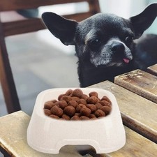 Ciotole per cibo e acqua per cani e gatti VIOLA