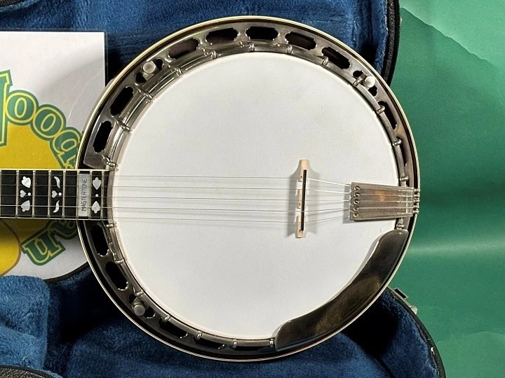 Gibson Earl SCRUGGS STD GREG RICH 1992 班卓琴 — 第 3/4 张图片