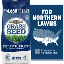 Kentucky Bluegrass Northern Grass Seed Mix, for Sun to Partial Shade, 7 Lb.