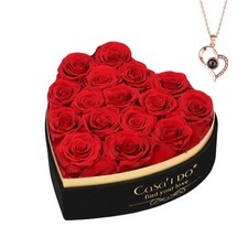 Forever Real Roses 16 Pcs, Preserved Flowers in Heart Shape Box with Necklace...