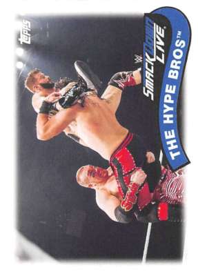 2018 Topps Heritage WWE Tag Teams and Stables Insert Singles (Pick Your Cards)