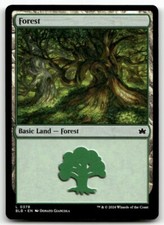 X4 Forest #378 MTG Bloomburrow NM X4