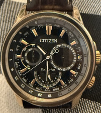 Citizen Eco-Drive World Time 8729 Black Dial Rose Gold Leather Watch