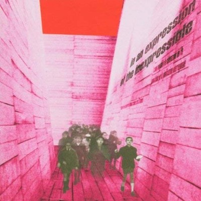 Blonde Redhead In an Expression Album