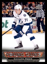 2013-14 Upper Deck #224 Richard Panik Young Guns RC (ref 240477)