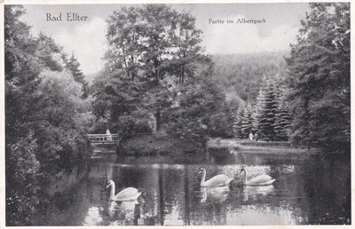 1939 AK Deutsches-Reich Bad- Elster Sachsen Partie im Albertpark Panorama Löfler - Bild 1 von 2