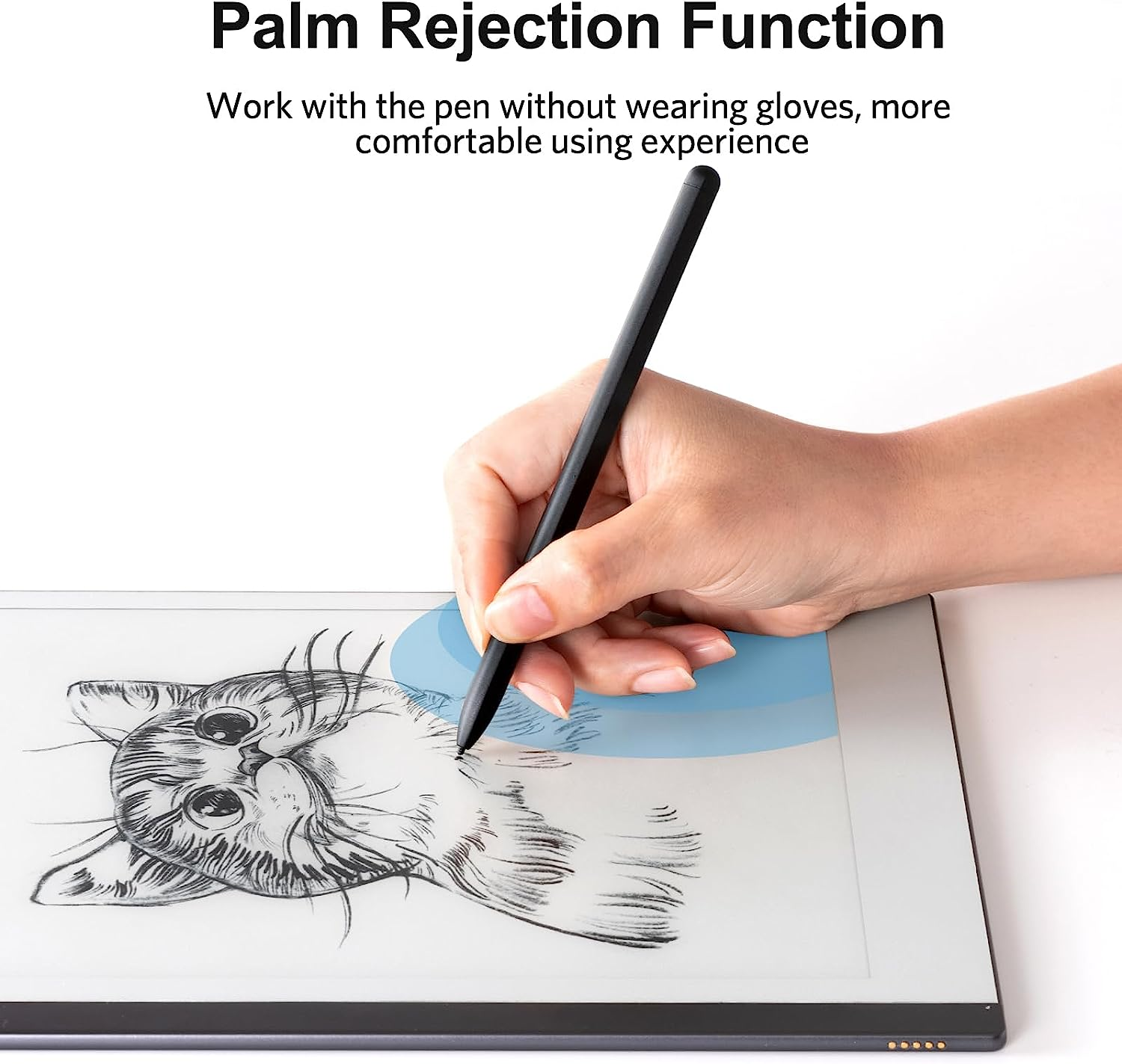 Stylus Pen for Remarkable 2 Tablet with 3 Pen Tips，Didital