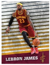 LEBRON JAMES FATHEAD MURAL 20" x 16" Wall Graphic Decal CLEVELAND CAVALIERS