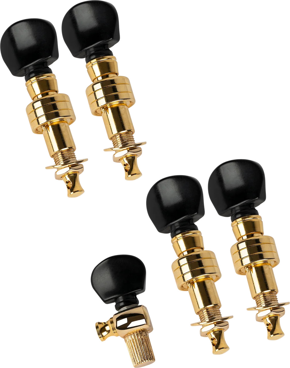 Professional 5-String Banjo Friction Pegs Gold with ABS Buttons