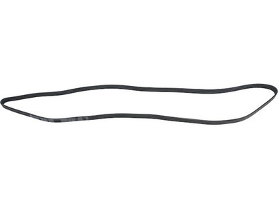 API ProTune Multi Rib Belt fits Chevy Trailblazer EXT 2003-2006 5.3L V8 18WPMY