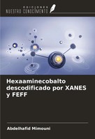 Abdelhafid Mimouni | Hexaaminecobalto Descodificado Por Xanes Y Feff | Buch