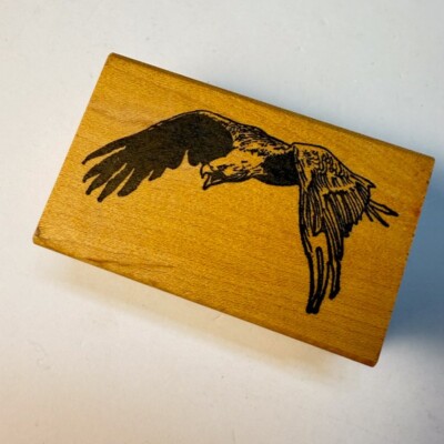Eagle in Flight~Patriotic~Bird~Aquila~Rubber Stamp~2.75''X 1.75''~The Stamp Pad Co
