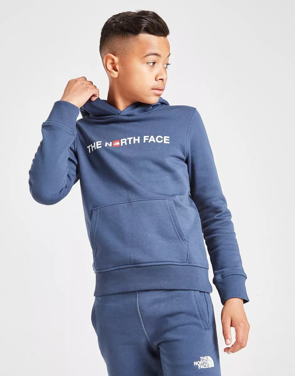The north 2024 face kids hoodie