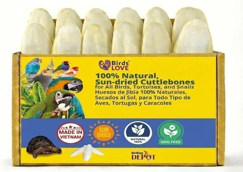 Birds LOVE Natural Cuttlebone Sun-Dried Calcium Supplement for Birds & Tortoises