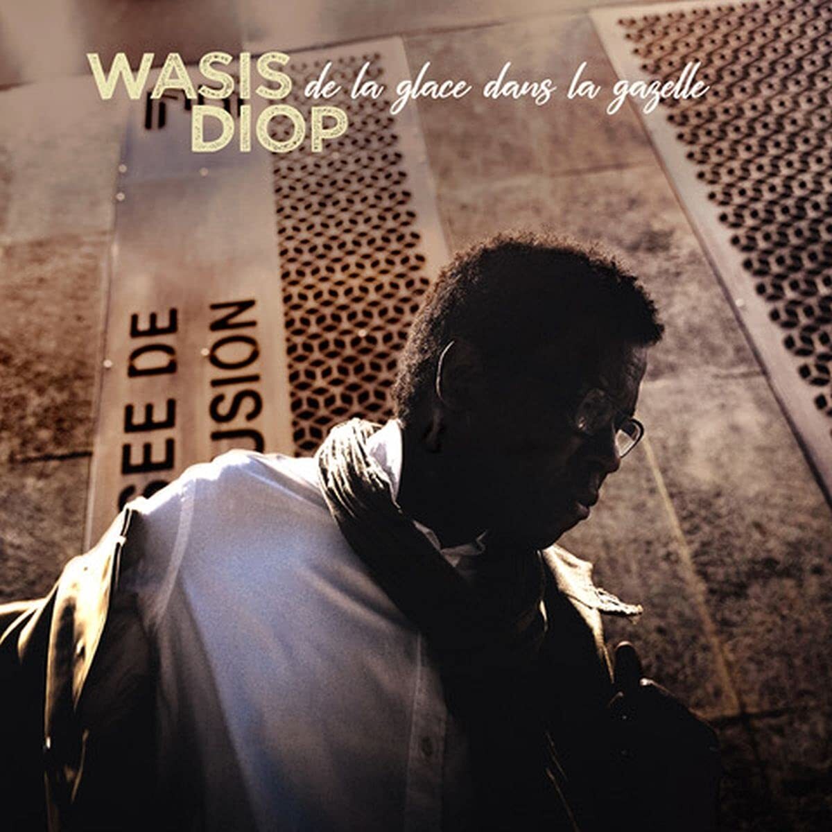 Diop, Wasis De La Glace Dans La.. (CD)