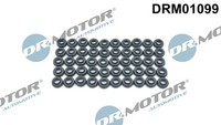 Dr.Motor Automotive DRM01099 Dichtung, Zylinderkopfhaubenschrauben For Chevrolet