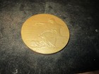 President Franklin Delano Roosevelt Memoriam BRONZE MEDAL X9 GN — photo 2