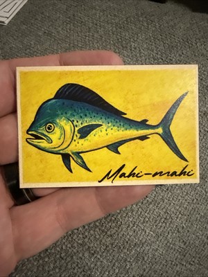 Mahi Mahi Tuna Mini Art Card