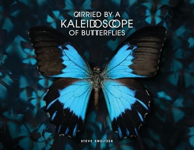 Carried by a Kaleidoscope of Butter..., Sweitzer, Steve