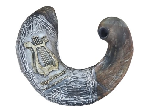 Gran enorme shofar enchapado en plata esterlina carnero cuerno 24" - 60 cm arpa de David - Imagen 6 de 14