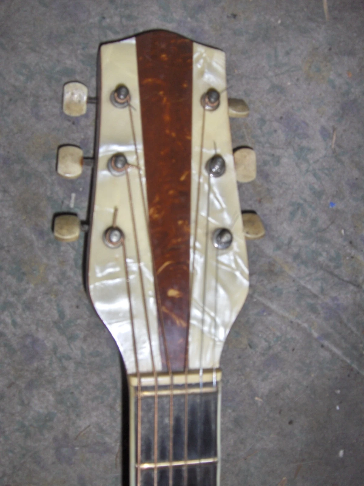 Picture 5 of 16