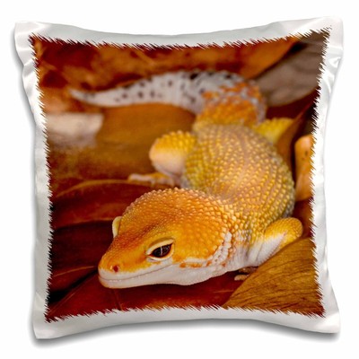 3dRose Leopard Gecko morph, Lizard, Pakistan-AS28 AJE0000 - Adam Jones 16x16 inc