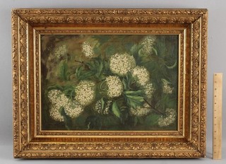 1919 Antique Victorian Signed White Hydrangea Flowers Still Life Oil Painting NR