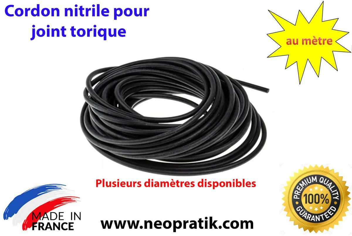 Selmer Trombone Poids étalonnage Troemner Classe 1 - 10 Grammes Avec étui - Occasion Vérifié Poids étalonnage Troemner 10g